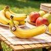 Banana Storage Container view 4