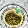 Cactus Kitchen Sink Drain Strainer view 4