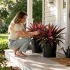 21-Inch Realistic UV-Resistant Artificial Dracaena Plant view 3