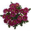 Silk Chamomile Flowers, Burgundy view 1