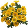 Silk Chamomile Flowers, Burgundy view 4
