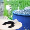 110 mm Black Rainwater Collector for Garden Irrigation view 4
