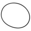 O-Ring Seal for SPS Filter Pumps view 1