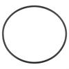 O-Ring Seal for SPS Filter Pumps view 2