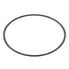 O-Ring Seal for SPS Filter Pumps view 4