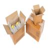 Double-Wall Dangerous Goods Box, 275 x 195 x 300 mm, 16 L, 100-Pack view 2