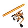 Ailan Mini Ice Fishing Rod with Reel, Gold Pen, 100 cm Extended Length view 1