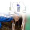 Handheld Vacuum Milker for Goats, Sheep, and Cattle view 4
