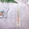 Hoppipola Indoor/Outdoor Wall Thermometer view 2