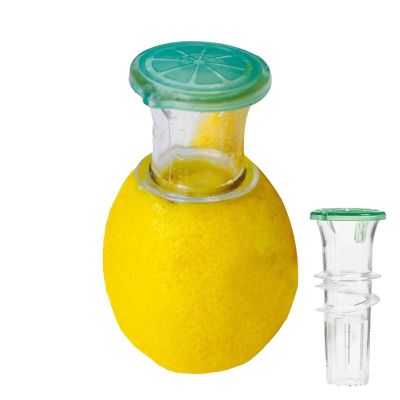 Manual Citrus Juicer