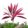 Generic High Artificial Plant | 21 Inch Tropical Outdoor | Dragon Blood Tree Artificial Plant for Outdoor Use view 1