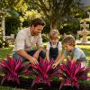 Generic High Artificial Plant | 21 Inch Tropical Outdoor | Dragon Blood Tree Artificial Plant for Outdoor Use view 2