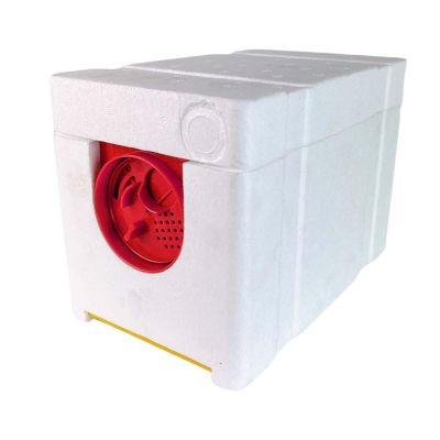 Chosertory Queen Rearing and Mating Box, Red Door