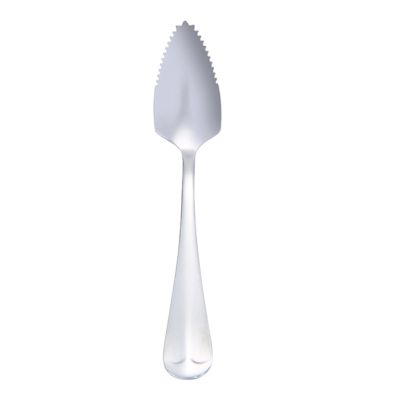 Grapefruit Spoon