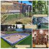 Generic Climbing Net with Rope Ladder and Cargo Net for Indoor and Outdoor Playgrounds (Size: 200 x 200 cm) view 3