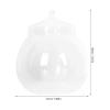 COOLHIYA Glass Terrarium Container with Lid, 1 Set, Random Style view 2