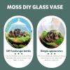 COOLHIYA Glass Terrarium Container with Lid, 1 Set, Random Style view 4