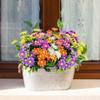 Artificial Daisy Bouquet, Purple view 4