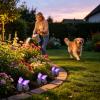 Solar LED Butterfly Garden Stone view 2
