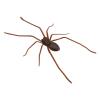 Spider Magnets - Creepy Prank Gadget for Spooky Decoration view 1