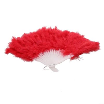 Soft Feather Fan for Women