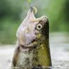 50-Piece Simulated Floating Bread-Worm Fishing Bait view 2
