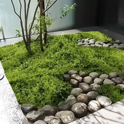 Realistic Artificial Moss for DIY Crafts