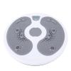BAFOVY Twist Board with Digital Counter and Foot Massage Points, Gray view 1