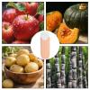 Generic Kitchen Peeler - 2-Head Vegetable Gadget view 4