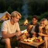 Double-Head Peeler view 2