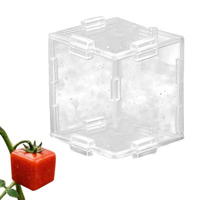 Vegetable Growth Shaping Set