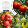 Vegetable Growth Shaping Set view 4