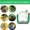 Butterfly Tent with Handle, Transparent Breathable Mesh view 4
