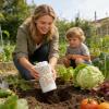 Underground Worm Composter for Home Gardens view 2