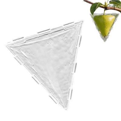 Vegetable Growth Molds