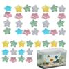 Decorative Garden Stones, 100 Pieces, Weather-Resistant, Glow-in-the-Dark view 1