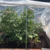 Greenhouse Film, UV-Resistant Flexible Mesh view 2