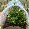 Greenhouse Film, UV-Resistant Flexible Mesh view 3