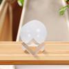 Glass Plant Terrarium with Wooden Stand for Plants, Christmas, Party view 4