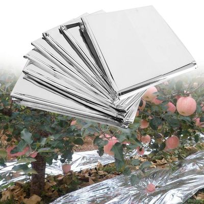 Rosvola 2-Pack Silver Reflective Plant Film, 210 x 120 cm