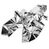 Rosvola 2-Pack Silver Reflective Plant Film, 210 x 120 cm view 3