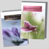 Michel Verlag 2-Card Sympathy Set with Envelopes, Trauerblüten, 17 x 12 cm, Made in Germany view 1