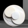 Round Boron Nitride Ceramic Plates, Thickened BN Ceramic Plates (530 mm) for Industrial Applications, 1 Piece (10 x 80 mm) view 2