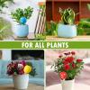 Self-Watering Plant Spikes, Automatic 4-Piece Globe Drip Irrigation Set view 4
