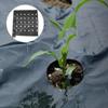 Lurrose 2-Piece Perforated PE Mulch Film, 0.95 x 10 m, Black view 4