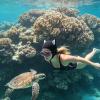 Generic Swim Cap Freediving Headwear view 2