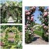 Metal Garden Arch for Climbing Plants, Rose Trellis, Weather-Resistant Iron Frame, Pavilion Support, Outdoor Décor, 120 x 220 cm, Green/Black/White view 3