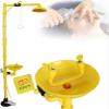 Generic Combined Emergency Shower and Eyewash Station view 1