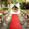 RRYPBOVG Wedding Aisle Runner, Non-Slip White and Red Ceremony Carpet, Pink, 6 m x 1.2 m view 4