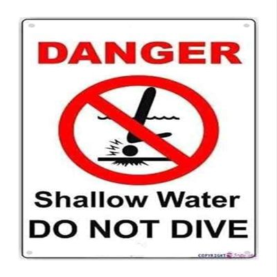 IDGTTLDF Shallow Water Warning Sign, Vintage Metal Tin, Danger Do Not Dive, Pool Decor for Lake House or Pool, 8 x 12 in
